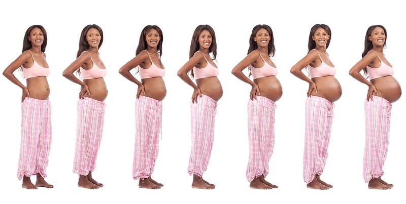 A timeline of pregnant belly stages