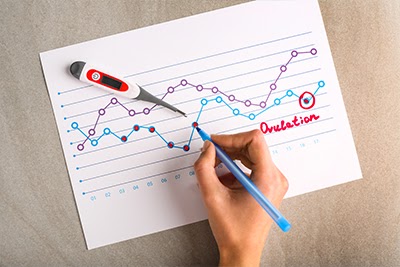 Temperature chart with ovulation day marked