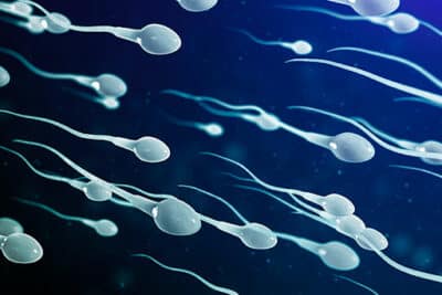 signs of healthy sperm