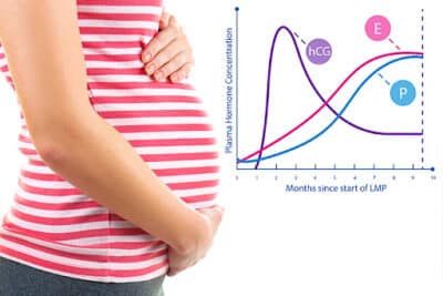 Pregnancy HCG Levels