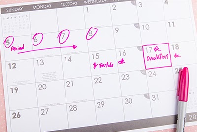 Calendar with marked ovulation day