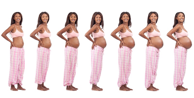 A timeline of pregnant belly stages