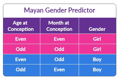 Mayan Calendar Gender Prediction | SneakPeek®