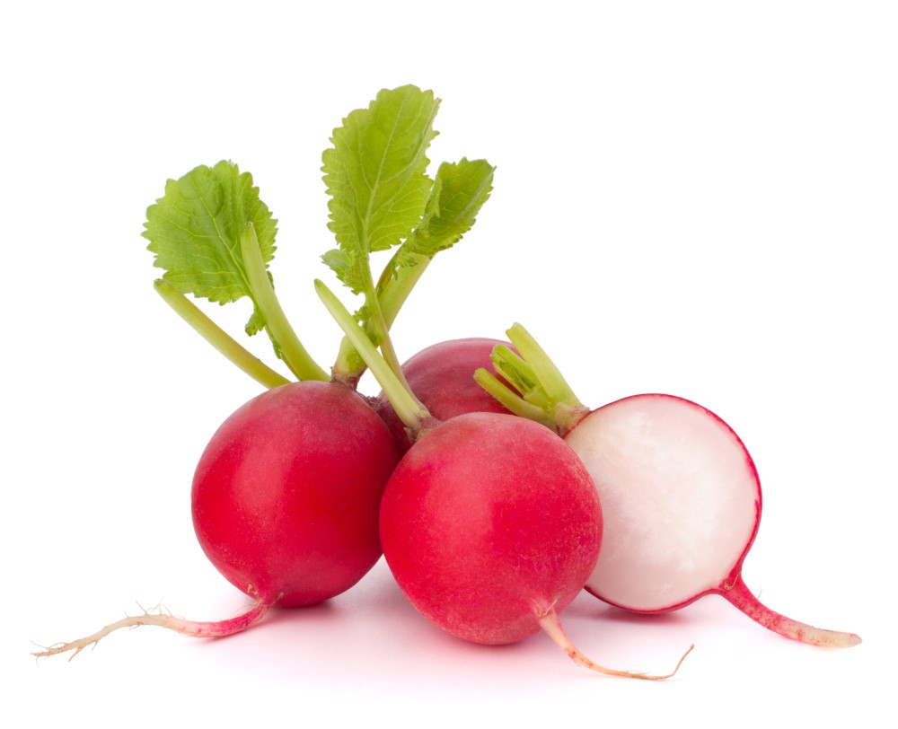 Bitter Taste Radishes English SneakPeek®️