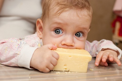 Funny baby biting down on large piece of cheese